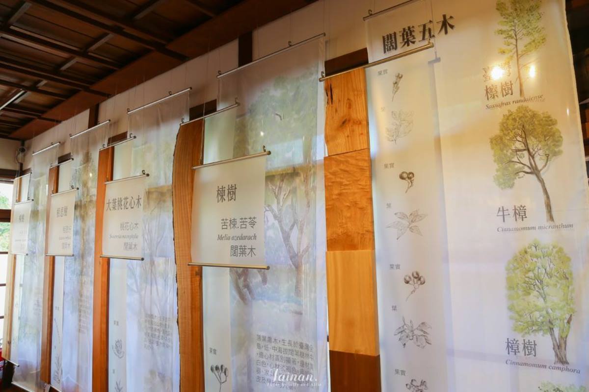 IG搶打卡！台南75年日式宿舍變身「木材故事館」，體驗區可聞檜木香、敲擊木片