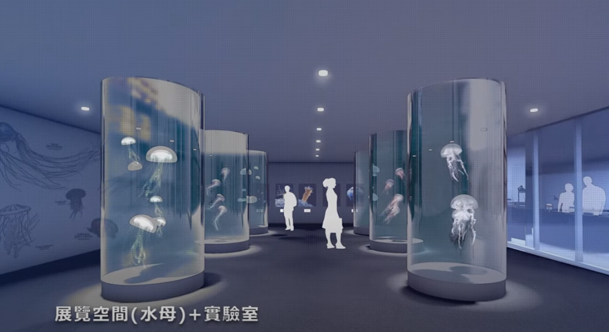 北北基首座水族館３月開！近千坪「潮境智能海洋館」玩VR海底隧道、巨型觀賞缸