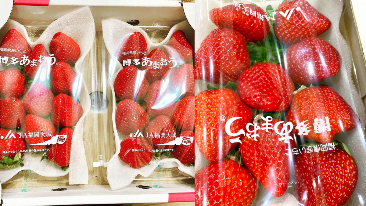 草莓控衝好市多！日本空運「福岡草莓」上架，鮮甜飽滿超Juicy