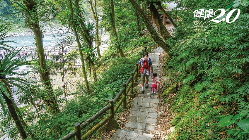 51連假超療癒行程推薦！北台灣3條山林步道 一覽360度山海仙境