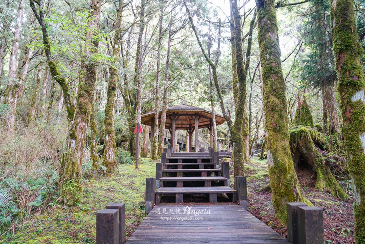 大自然走春去！宜蘭太平山１日遊４行程：搭森林蹦蹦車、台版冰島藍湖泡溫泉