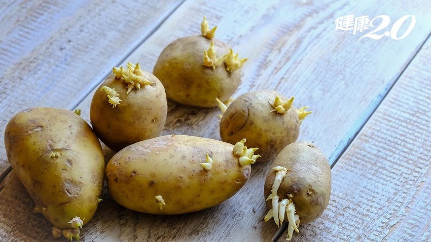 馬鈴薯發芽還能不能吃？營養師：茄鹼恐食物中毒！馬鈴薯這樣煮營養最豐富