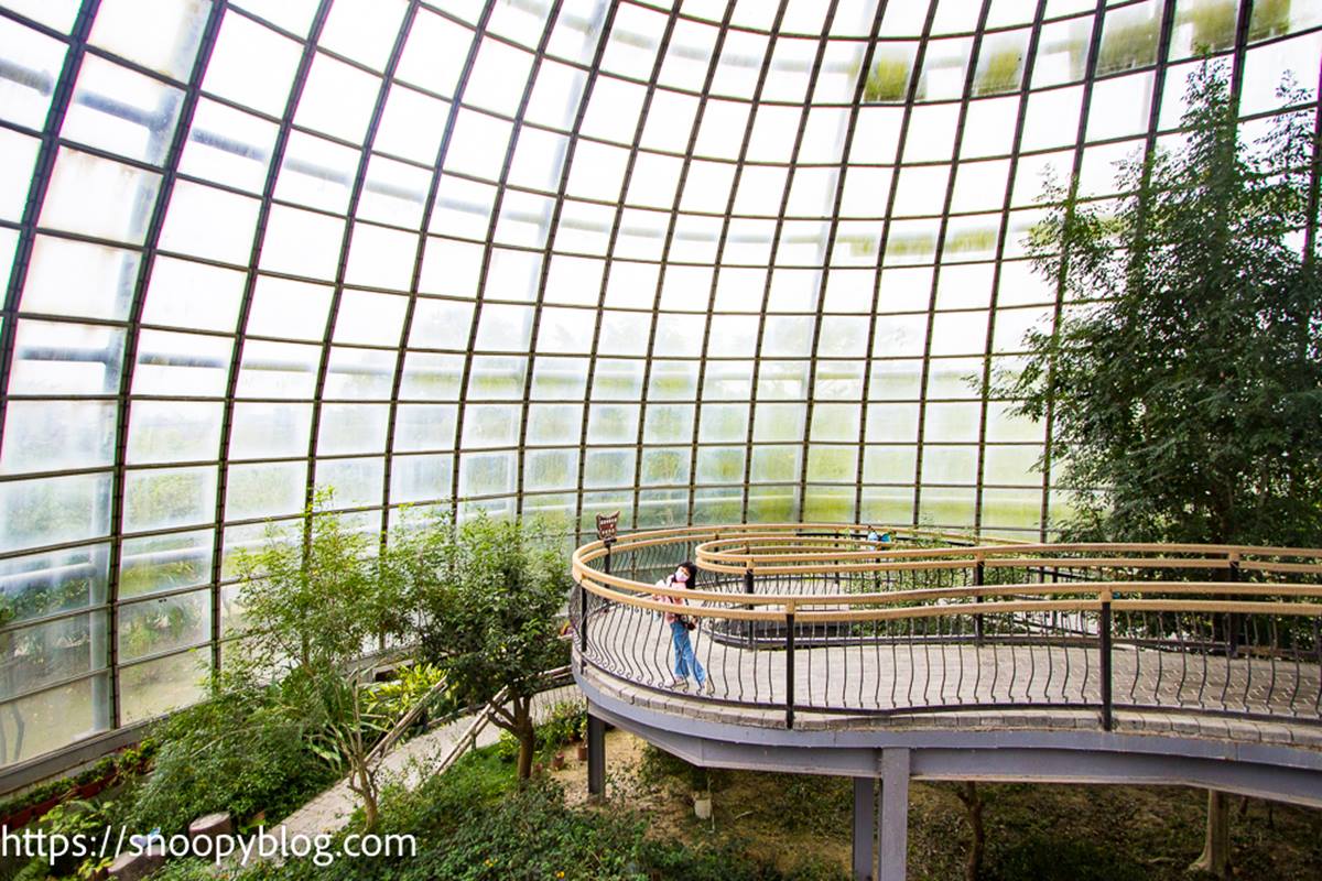 球形「溫室玻璃屋」超好拍！打卡夢幻蝴蝶步道，還有全台唯一旋轉彩蝶柱