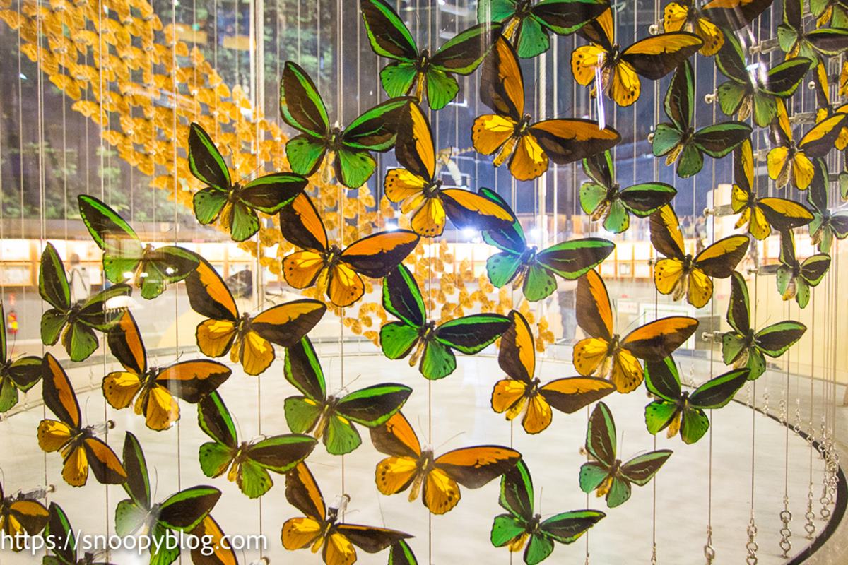 球形「溫室玻璃屋」超好拍！打卡夢幻蝴蝶步道，還有全台唯一旋轉彩蝶柱