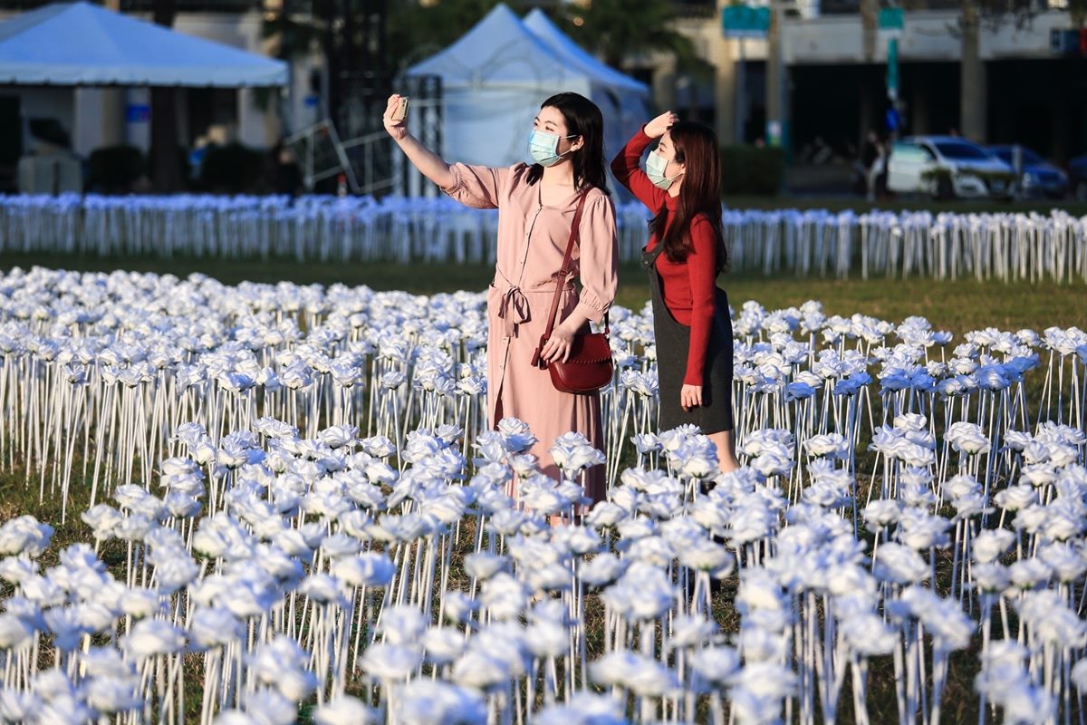 台南最新打卡夯點！全台獨創３萬朵白玫瑰燈海，白色情人節必拍IOU主燈