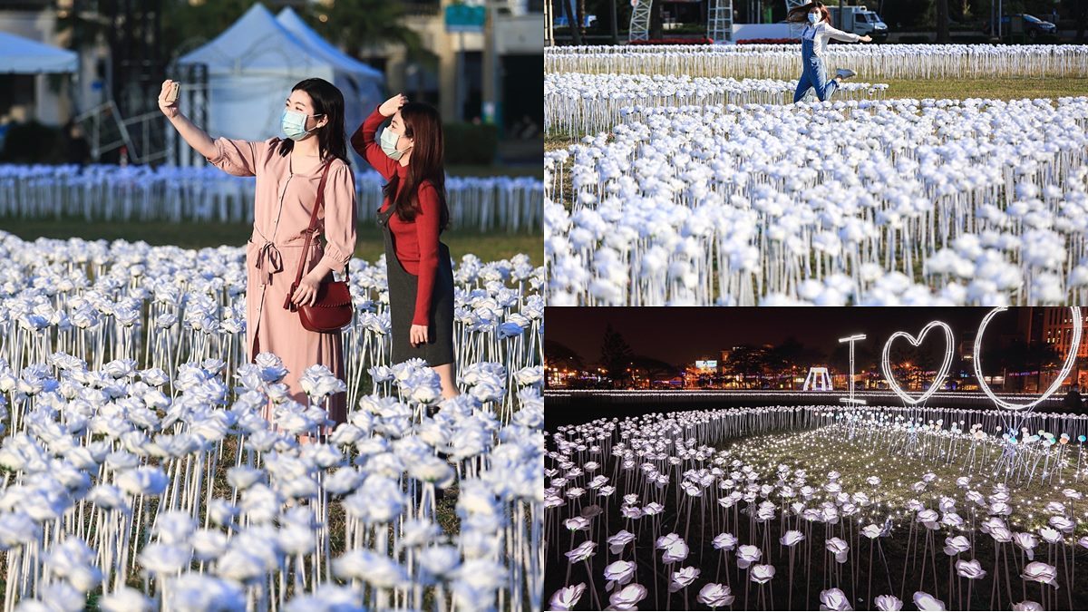 台南最新打卡夯點！全台獨創３萬朵白玫瑰燈海，白色情人節必拍IOU主燈