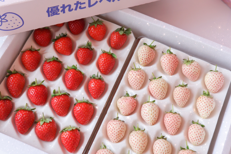 少女夢幻清單「淡雪草莓」變成甜點！粉嫩「白草莓晴空塔」美翻，整個冬天的幸福都包了