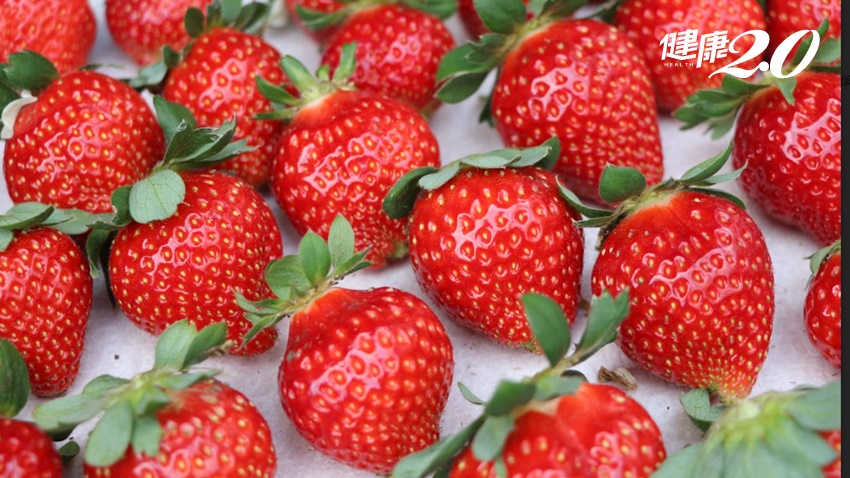 這款草莓不用灑農藥！台灣農試所10年培育出「台農一號草莓」酸甜Q感好味道