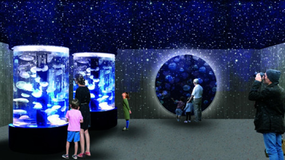 北北基首座水族館要開了！必衝「巨型觀賞缸、VR海底隧道」，基隆人３月搶先逛