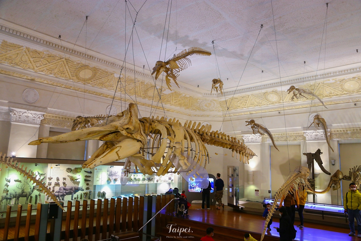 一次逛２館只要30元！百年博物館「巨型恐龍化石」超吸睛，帶小孩放電快衝