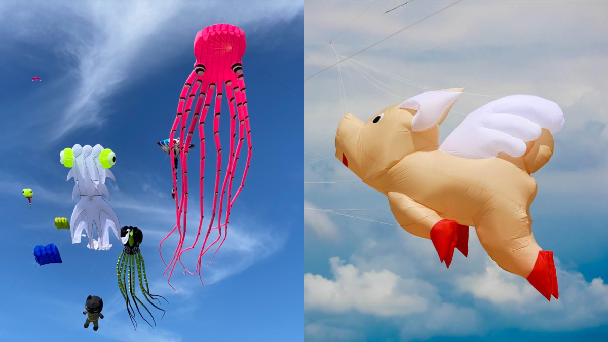 「2022桃園國際風箏節」只有２天！必拍16米大翅鯨＋17米鯨鯊，再衝滑草區瘋玩