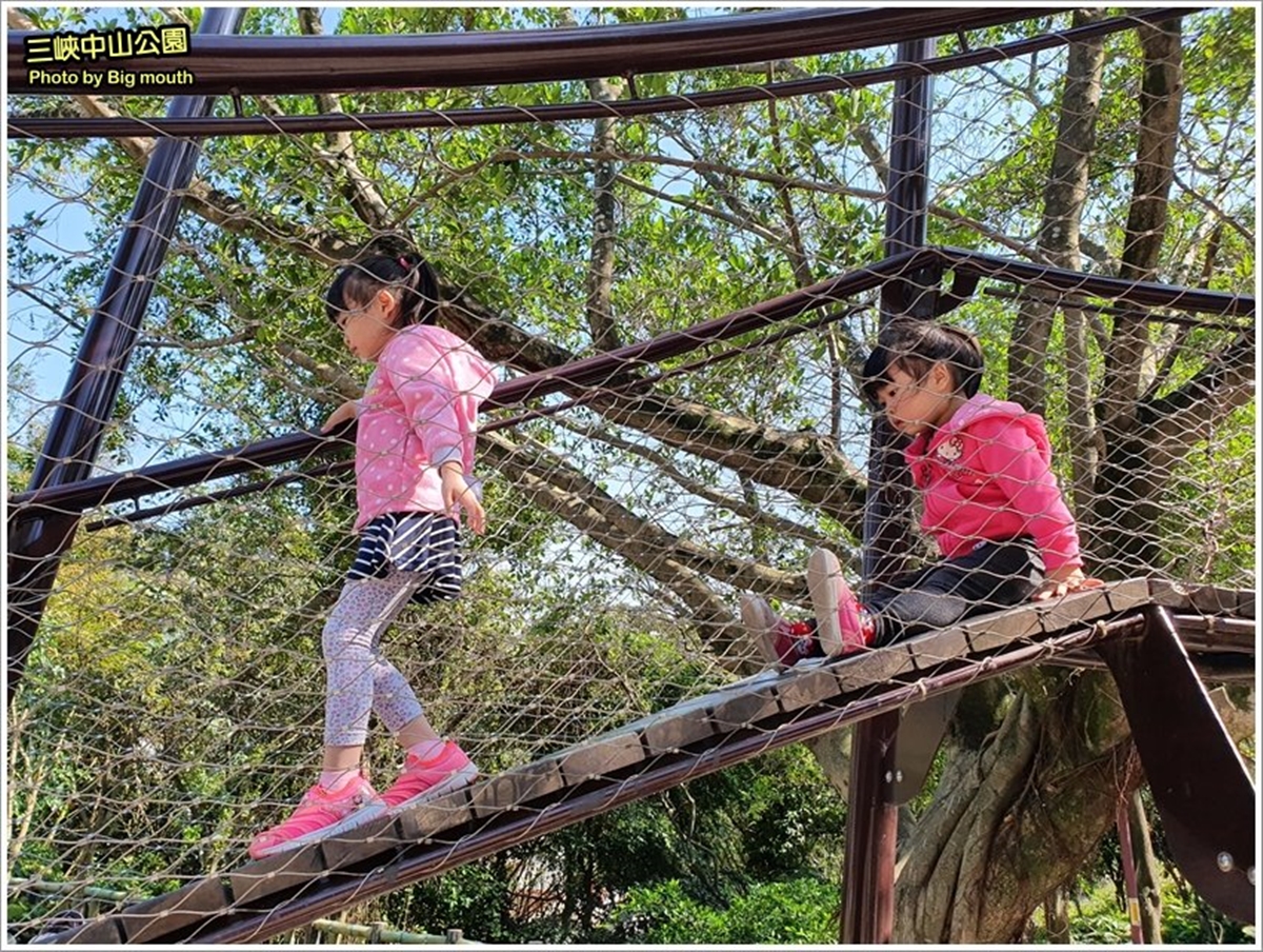 小孩要瘋了！三峽森林系公園先排「30公尺樹藤溜滑梯」，樹屋平台放電一整天