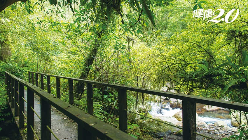 清明連假來趟宜蘭之旅！2處超熱門療癒系景點 漫步山林、走吊橋、賞瀑布