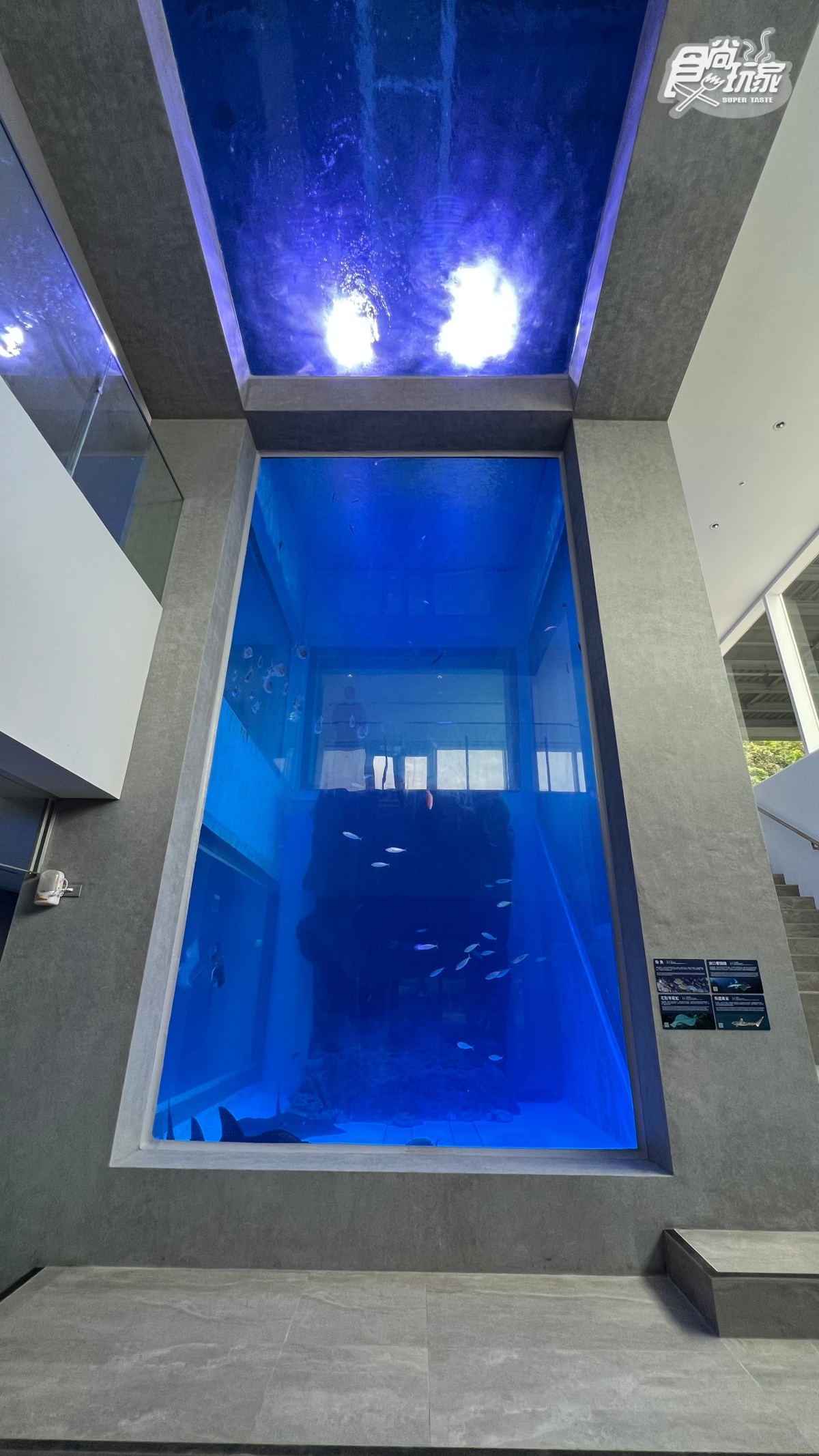 終於等到了！「北北基首座水族館」６月重啟：必衝絕美水母館、７米觀賞缸