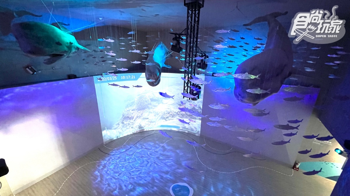 全新「潮境智能海洋館」直擊！參觀時間＋票價一次看，必衝７米觀賞缸、絕美水母館