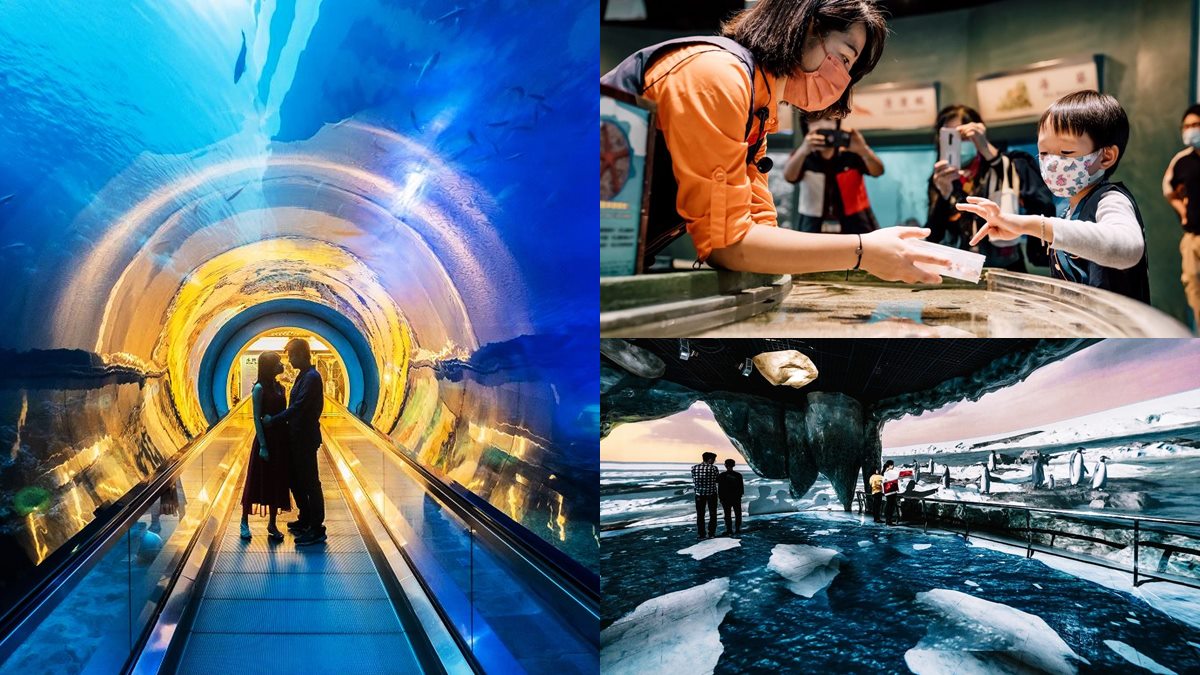 免費暢遊海生館１整年！「2022兒童海洋節」開跑，打卡沉浸互動展、極光隧道