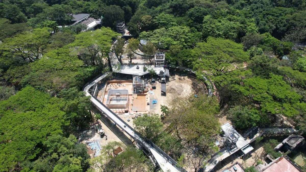 高雄人收口袋名單！「壽山動物園」打造空中長廊＋親水廣場，預計這時完工開園