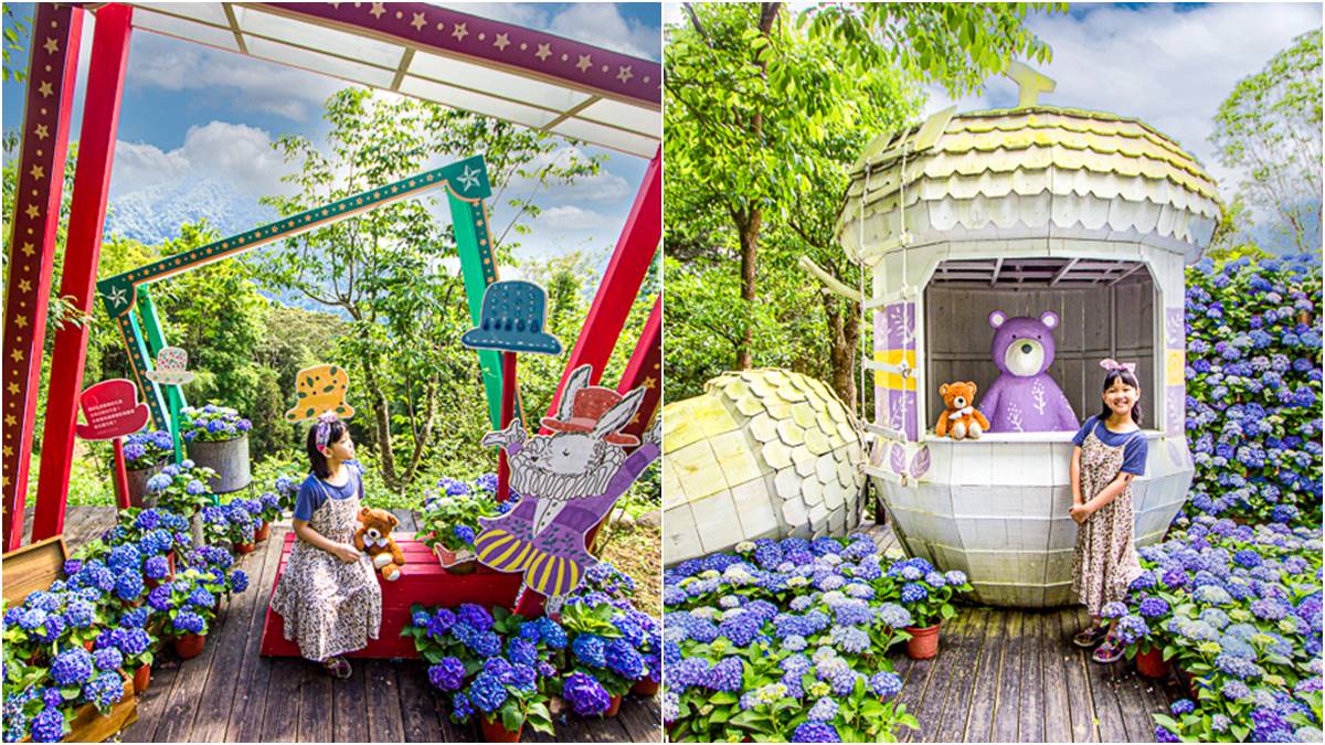 仙氣爆棚！５大繡球花美拍景點：占地8000坪拍到手痠、秒飛日本「花叢神社」