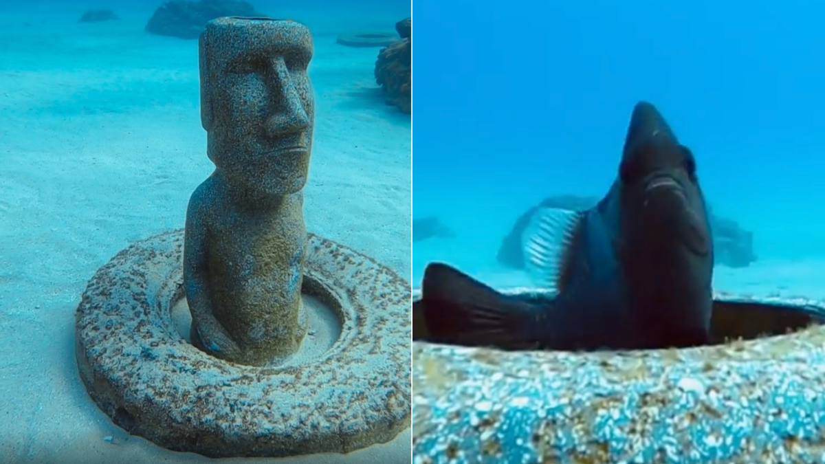 打卡萌翻「海底摩艾石像」！小琉球超夯新祕境，還能跟魚共游、賞珊瑚礁生態