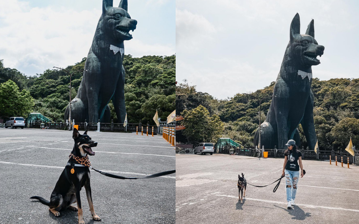 台版巨大「忠犬小八」免費拍！IG暴紅30米銅質犬像，再拜財神廟＋念求財口訣