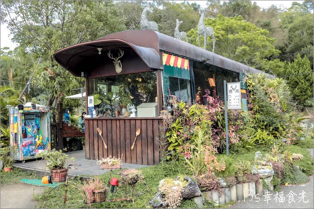 廢棄公車化身森林咖啡廳！「網美駕駛座」充滿綠植超療癒，南洋風涼亭也要拍