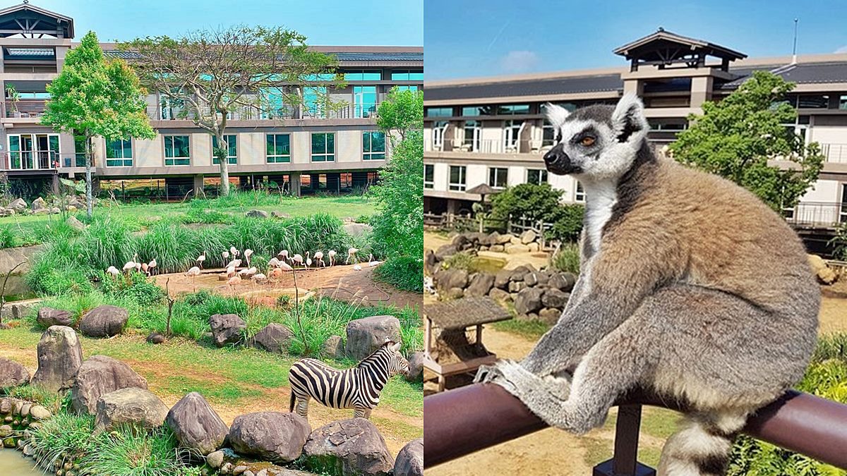 免費玩六福村２天！全台最大動物園飯店限定好康，２主題玩法體驗狐猴、樹蛙