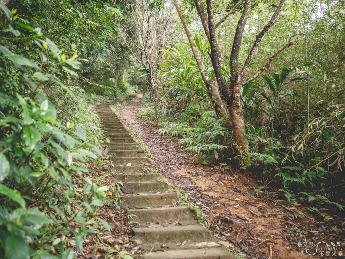 搭捷運就能到！淡水線７條新手輕鬆爬步道：台版嵐山、七彩梯田、遠眺101