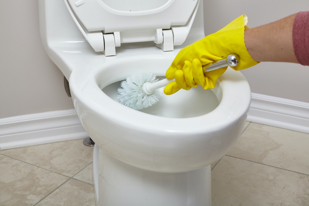 清潔達人喊快丟掉！４樣「超NG」用具：海綿髒不輸馬桶刷、浴室架是黴菌溫床