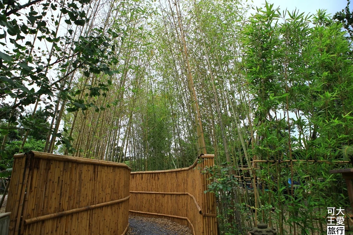 不定時開放！京都風祕境藏身陽明山溫室，日式庭院、竹林小徑超欠拍