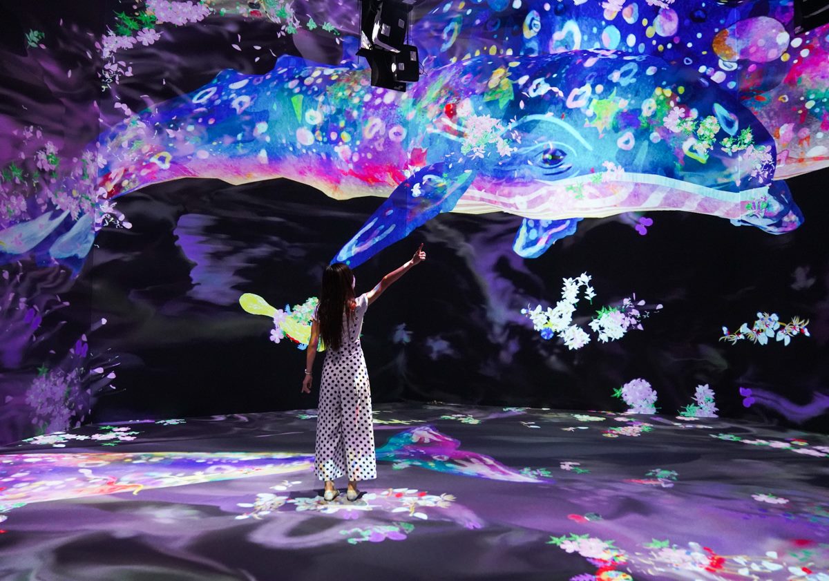 「日本最美展覽」登陸高雄！９大光影互動區洗版IG：沉浸式跳房子、彩色光球