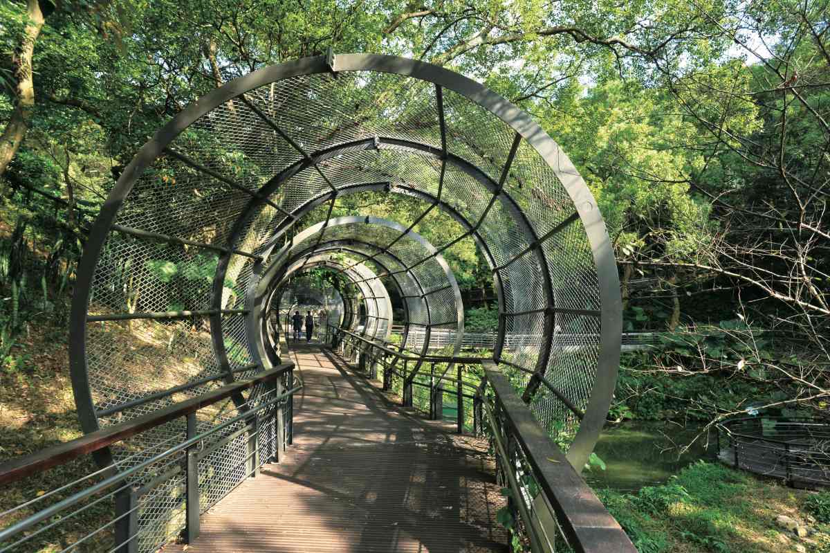 消暑景點快收！桃園４處沁涼山海祕境：百年石滬、全台最長懸索橋、綠色隧道