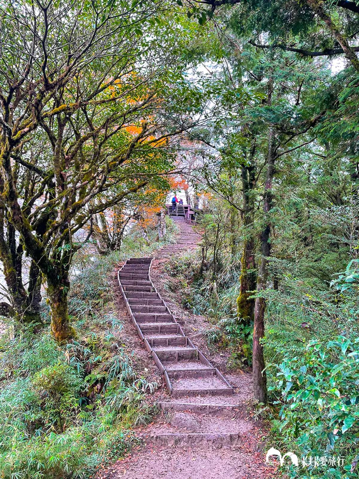 宜蘭不只抹茶山！８條私房步道衝打卡：CNN全球最美、瀑布祕境、15分鐘登頂