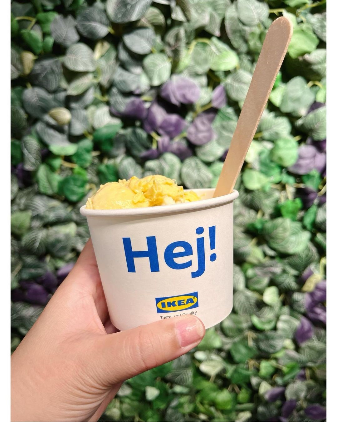 愈臭愈愛！香港IKEA夏限定「榴槤冰淇淋」貓山皇品種濃爆，還能再加榴槤肉