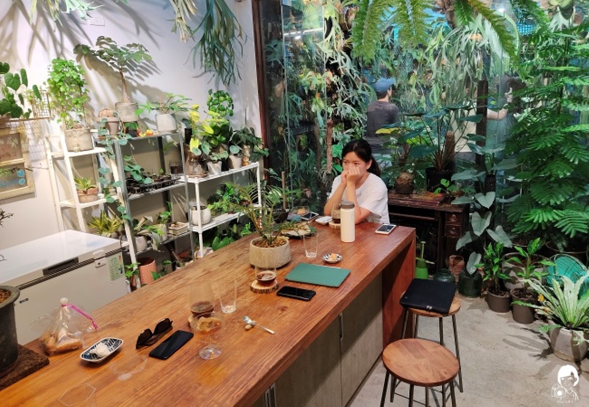 誤闖植物園？台中「森林系咖啡廳」被綠植圍繞超療癒，昭和布丁Q彈帶紅茶香