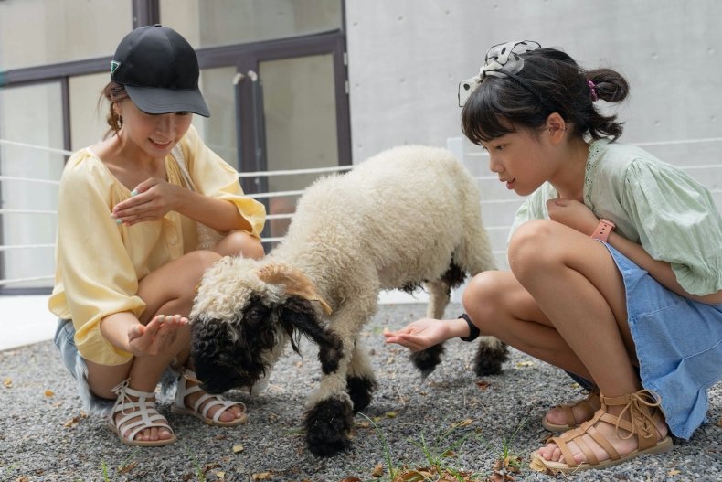 穿梭復古日本！宜蘭綠舞「大正浪漫服飾」體驗，新萌寵黑鼻羊一泊二食專案超省