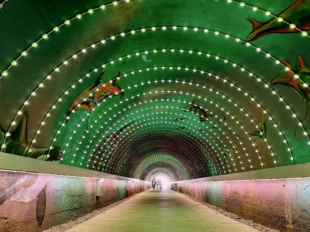 如置身藍色多瑙河！「旗津星空隧道」浪漫再升級，全新10大光影動畫免費拍爆