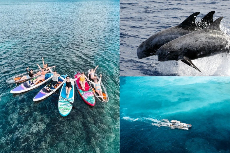 跟著內行人玩！今夏最夯旅遊體驗Top20：離島、水上秘境四大類關鍵字最熱門！