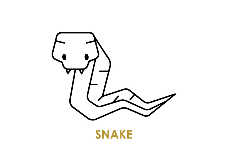 ▲蛇