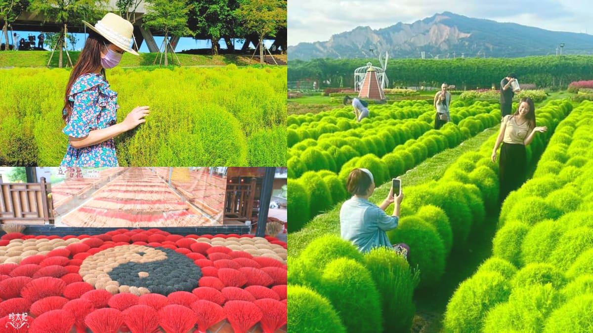 超萌「抹茶丸子」襲捲全台！５處波波草祕境：50元拍到飽、台中人參觀半價