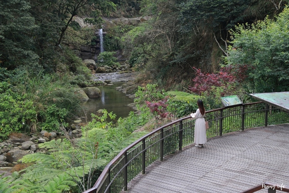 別只去阿里山！嘉義梅山６大祕境：最美茶園步道、台版九寨溝、海拔最高吊橋