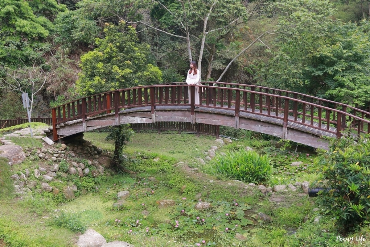 別只去阿里山！嘉義梅山６大祕境：最美茶園步道、台版九寨溝、海拔最高吊橋