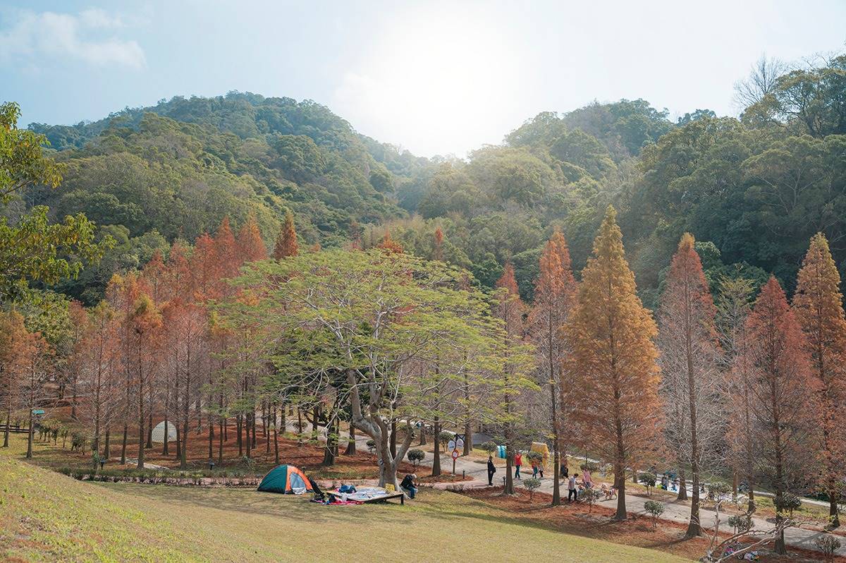 秋天最剛好！５大「懶人野餐」景點：森林內吃窯烤披薩、最南端賞海祕境