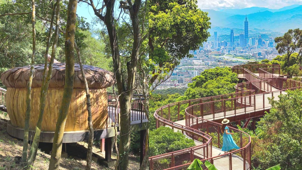 免費露營啦！「森林系露營區」藏台北市區，走「80米空中走廊」遠眺101