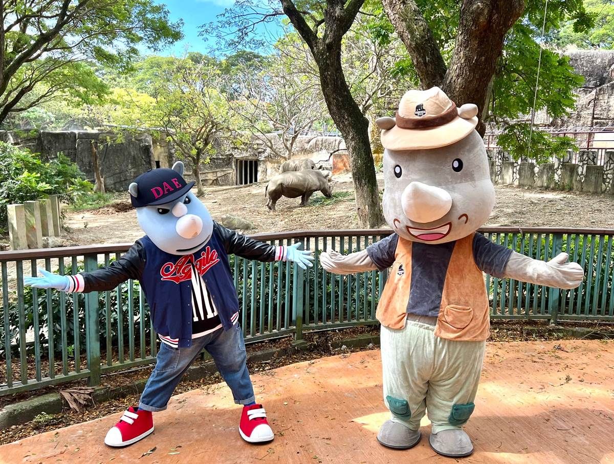 響應世界犀牛日！「認養犀牛」享全年免費玩壽山動物園，加碼送限量義大門票