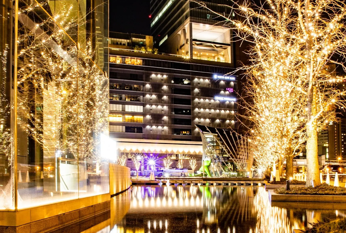 美翻了！大阪13公尺高「哈利波特耶誕樹」燈光秀免費看：漂浮樓梯、香檳步道