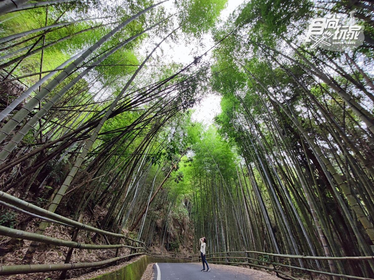 雲海祕境、台版嵐山！16景點玩翻古坑，台灣咖啡節３天２夜最強攻略