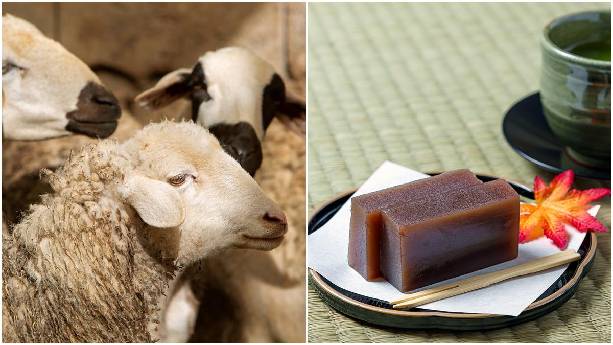 「羊羹」跟羊有關係？日式甜點竟源自中國「羊肉湯」，因為日本人「這原因」