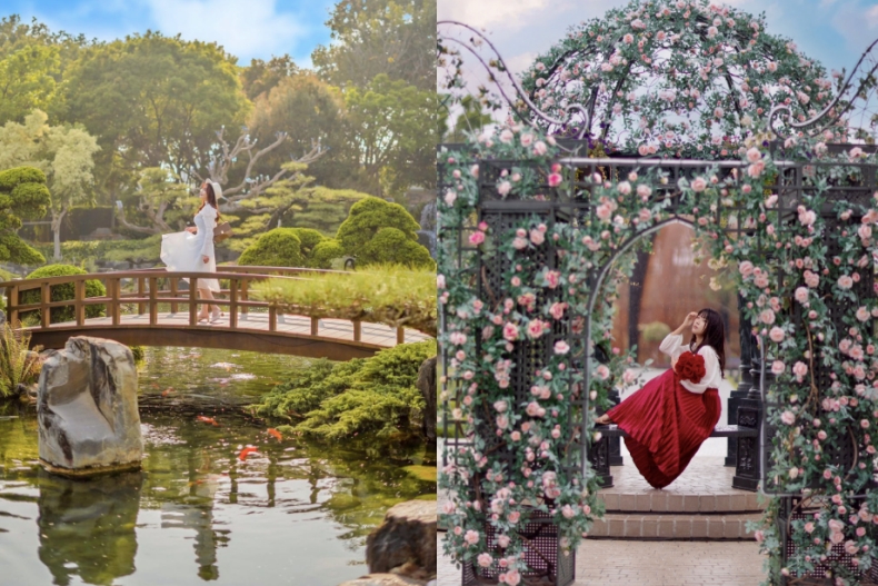 全台4處落羽松秘境推薦：宜蘭小歐洲「安農溪」、日本兼六園「成美文化園」