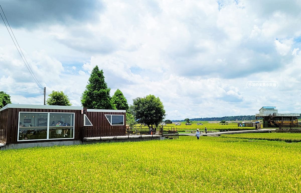 飽覽金黃稻穗海！稻田中「神祕貨櫃屋」打卡先搶窗邊座位，順遊洗版IG忘憂谷