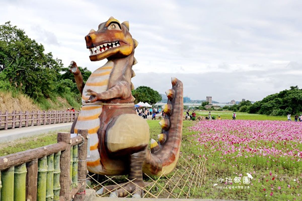 「台北最大花海」免費拍到飽！關渡「５公頃花田祕境」美到炸，11/20前快衝